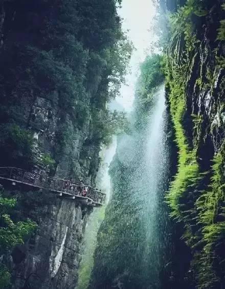 古墓丽影崛起